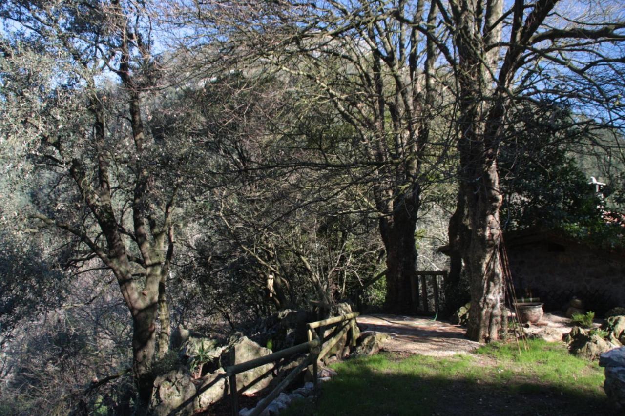 Domocantabria, Cupula Experiencias Casa de vacances Sobremazas