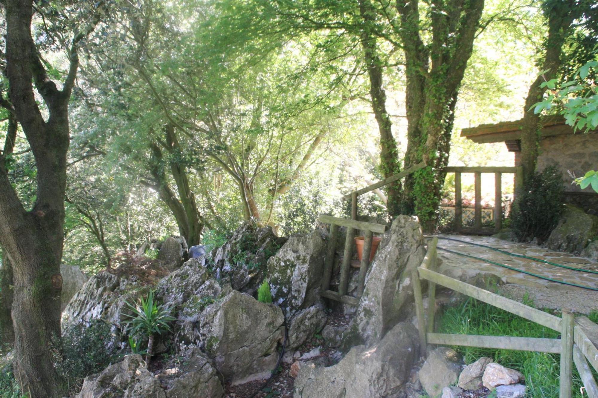 Domocantabria, Cupula Experiencias * Sobremazas